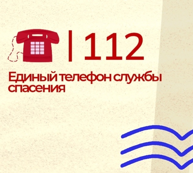 В целях недопущения роста уровня детского травматизма и смертности.